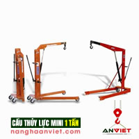 Cẩu thủy lực mini 1 tấn